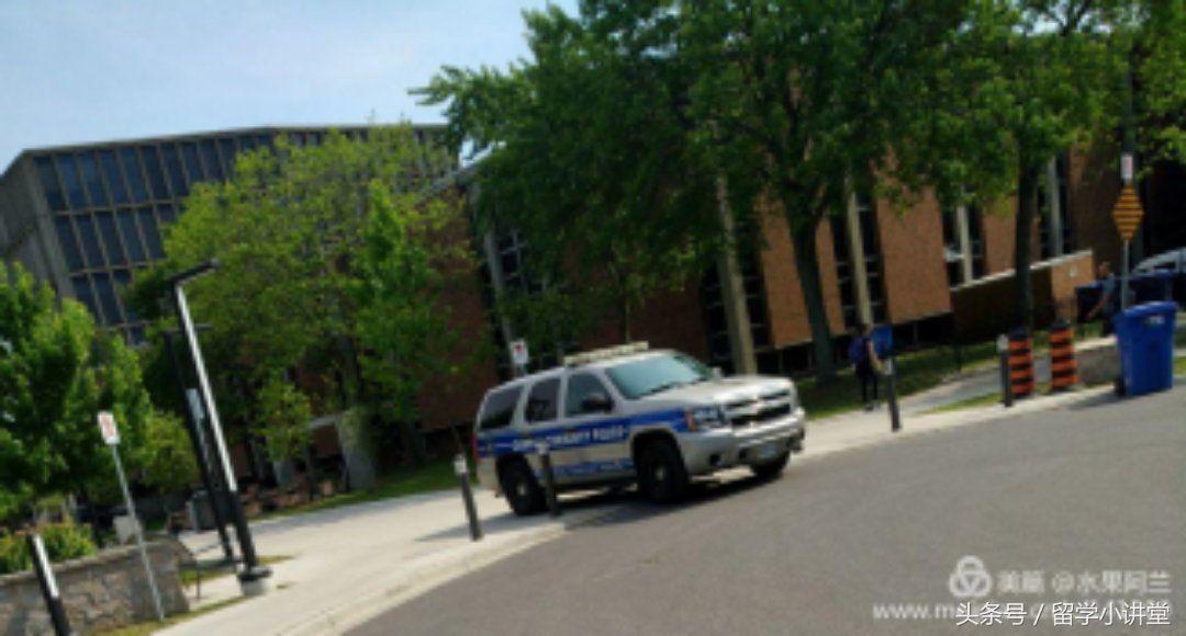 在加拿大长期生活是什么体验,在加拿大生活快乐吗