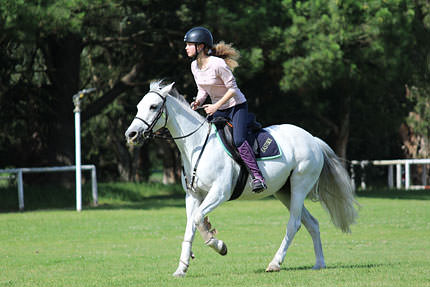 有趣的相机视频教程,佳能相机使用技巧大全