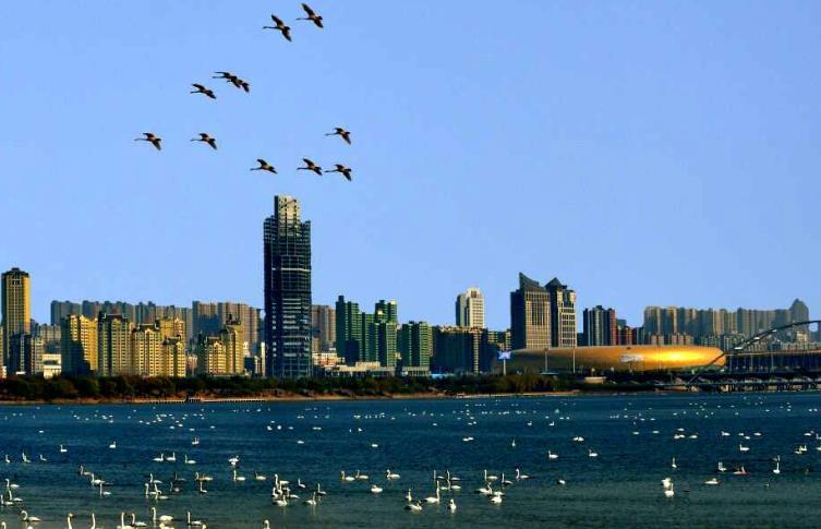 河南最“空荡”的城市：常住人口226万，人均GDP却比洛阳还高