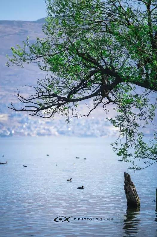 旅行必做的事,什么是真正的正确的旅行方式