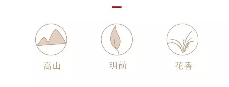 2000元一斤的信阳毛尖是什么档次,信阳毛尖100元一斤值得买吗