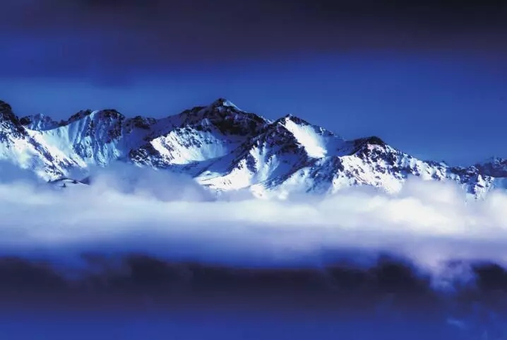 东非动物大迁徙记录完整版,东非野生动物大迁徙纪录片