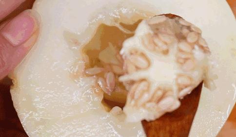 甜瓜｜伊丽莎白、金蜜、白兔、京玉、鲁厚甜1号、蜜兰、流星……