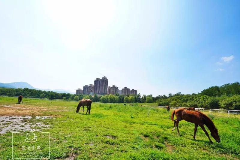 暑期去山东龙口,拍ins风网红大片,看没有游客蔚蓝大海!