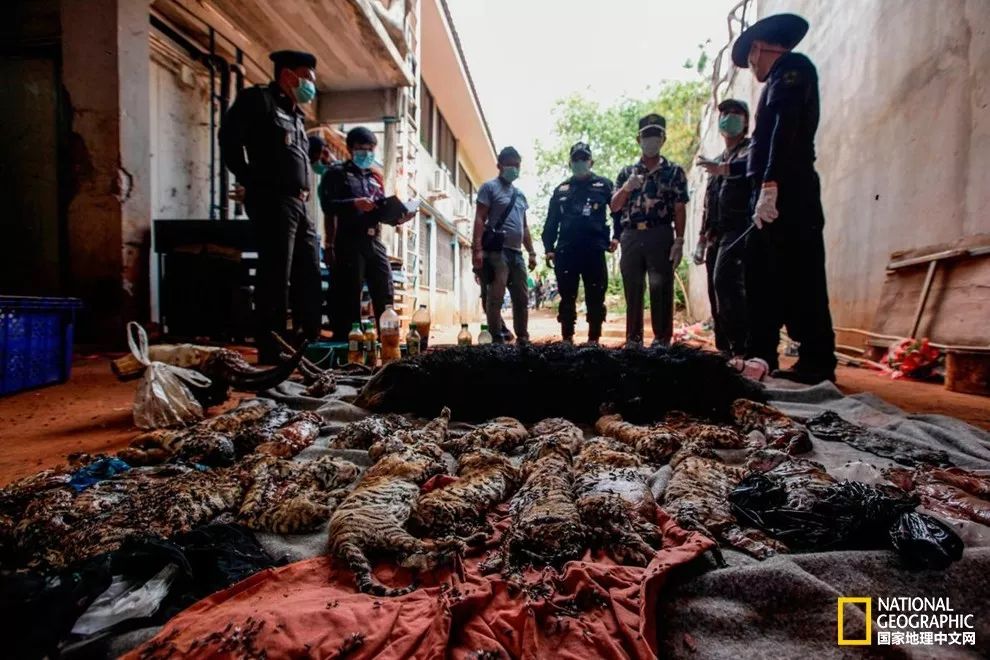 “谢谢你们，我们终于快死光了”