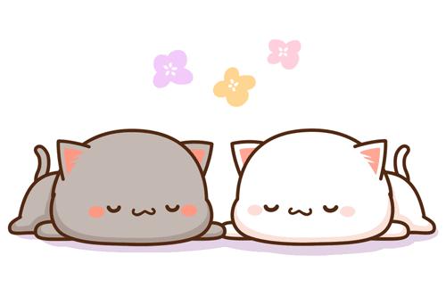 广西夫妻双双考上博士,学霸夫妻喜获3胞胎