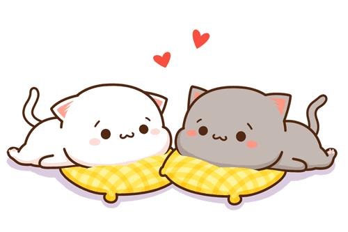 广西夫妻双双考上博士,学霸夫妻喜获3胞胎