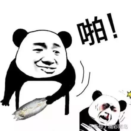 3亿人在用的拼夕夕，承包了10亿人的笑点