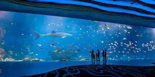 暑期陪娃游长隆海洋王国,这个暑假去珠海海洋王国多人吗