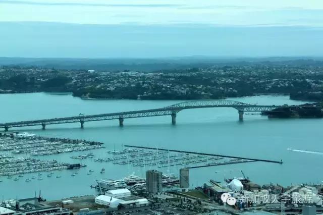 新西兰纯净之旅,10天时间旅游攻略