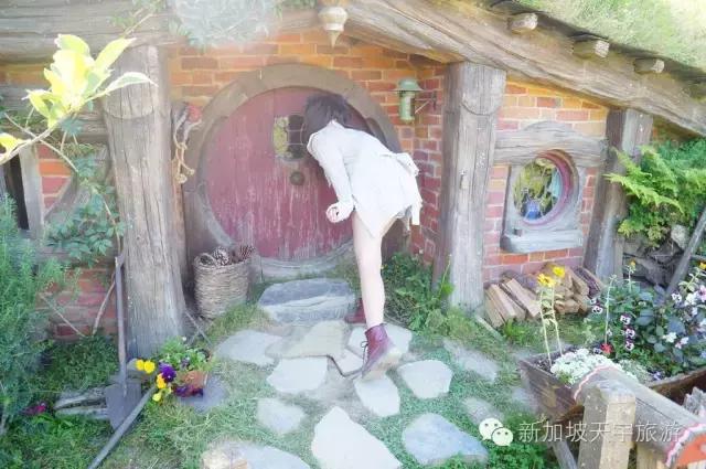 新西兰纯净之旅,10天时间旅游攻略