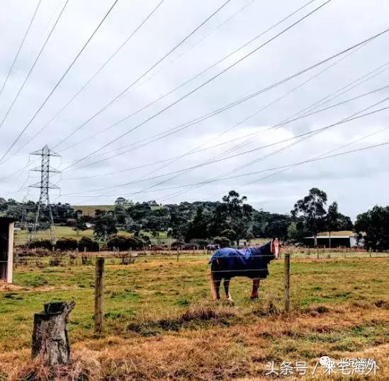 如何在澳洲投资房产,去澳洲投资房地产