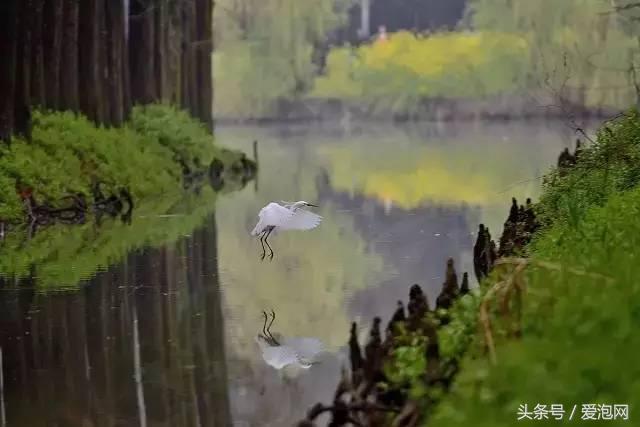 江浙沪深山老林旅游最好去处,清凉避暑好去处森林氧吧