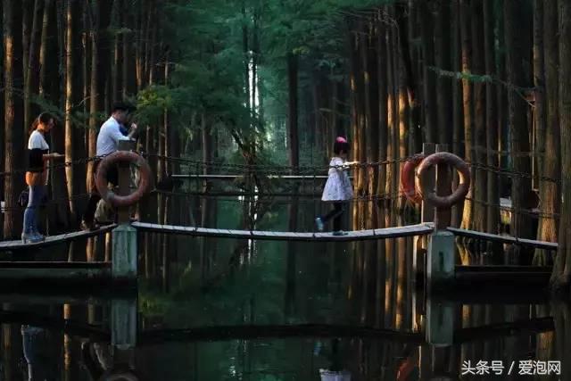 江浙沪深山老林旅游最好去处,清凉避暑好去处森林氧吧