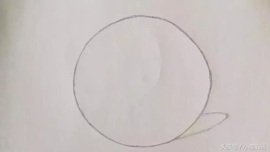 用素描纸素描笔画植物,素描手把手教学