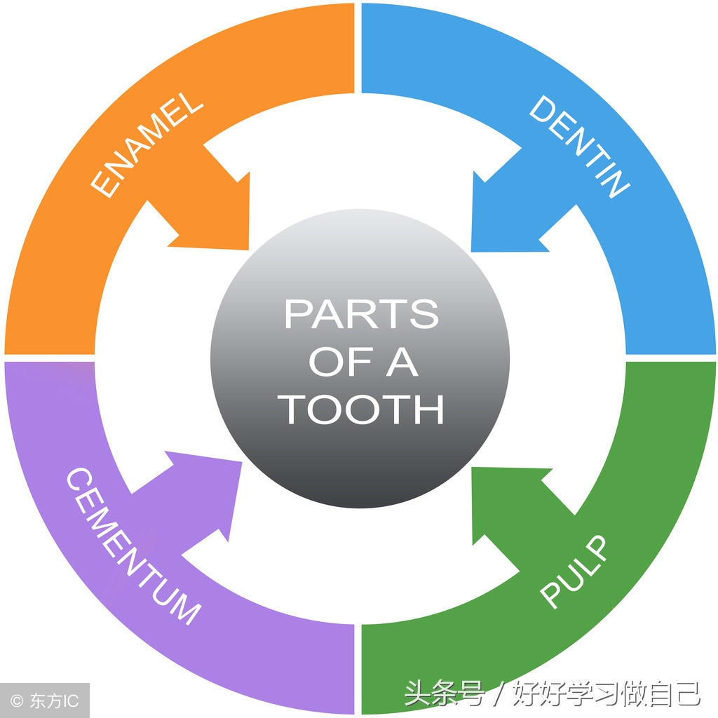 高考英语词汇3500晨读晚练,高中英语晨读晚背掌握3500词