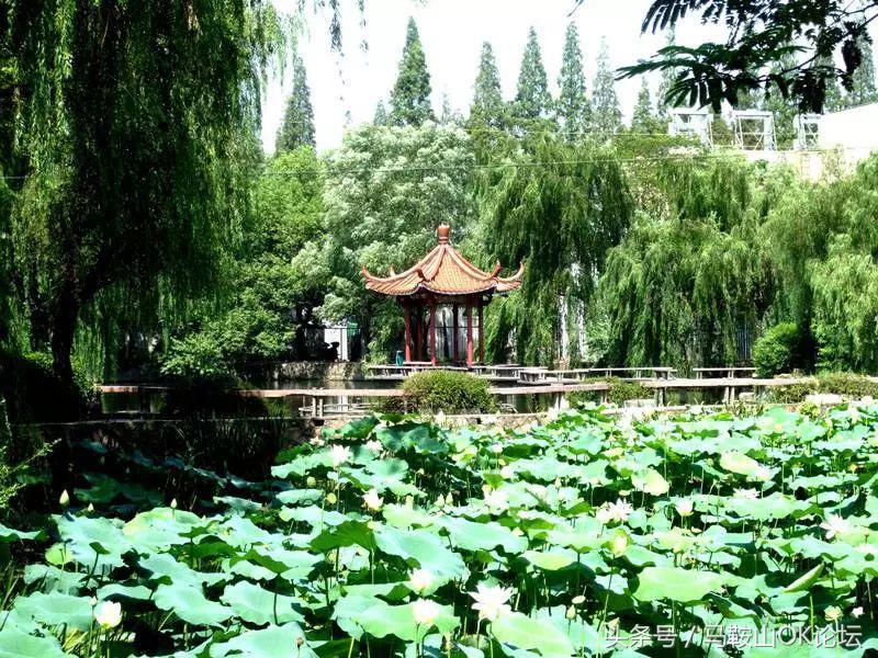 2018马鞍山终极考卷,难哭考生的数学题