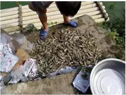 如何应对高温缺氧,高温缺氧怎么办