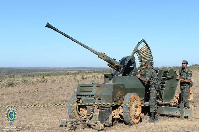 最长寿武器装备,世界上最长寿的东西排名