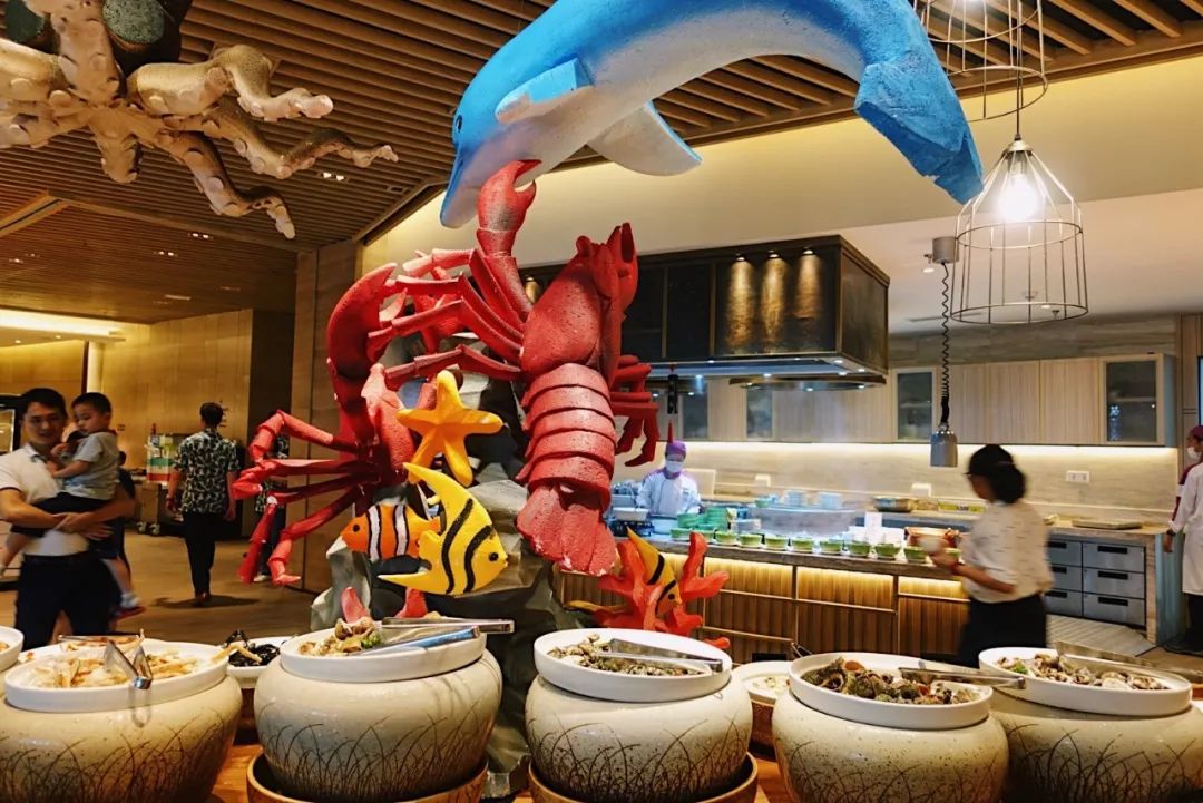 浙江体验感强的景点,浙江可以体验生活的地方