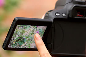 单反相机新手零基础教学佳能相机,佳能数码相机摄影技巧大全