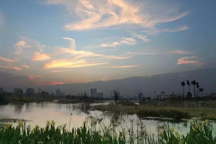 广州市内免费景点大全一日游,广州100个免费旅游景点