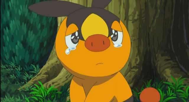 宠物小精灵初始宝可梦,宠物小精灵三个初始精灵