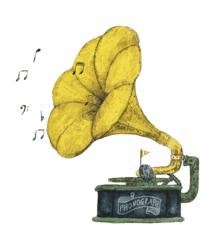 盘点那些诈骗来电,你遇到过诈骗信息吗