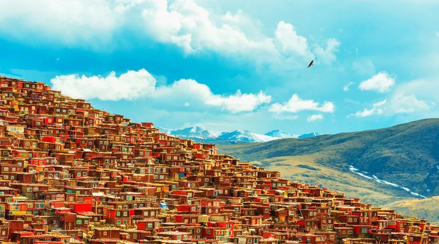 比较省钱的旅游方法,一个最省钱的旅游方法