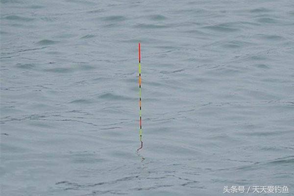 新手钓鱼看浮漂入门基本功,钓鱼人必知五种中鱼漂相调整