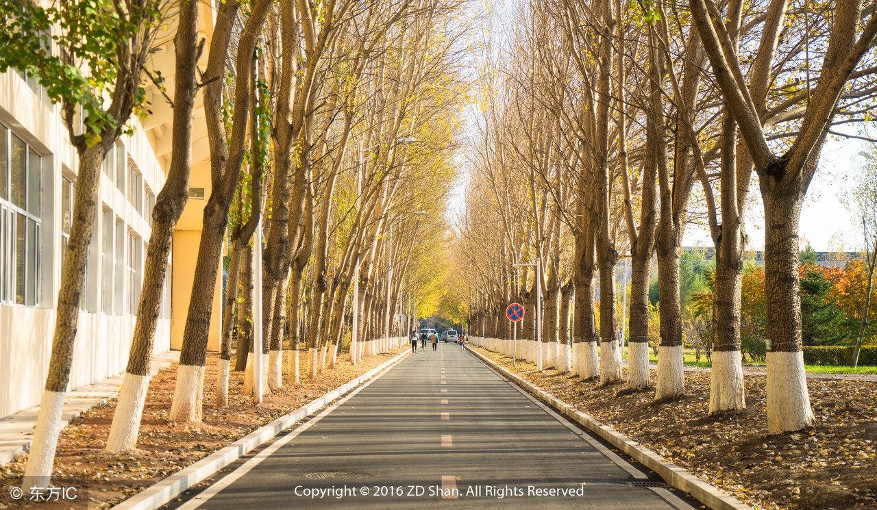 吉林大学：一所南方人瞧不起的985，其实实力特别强！建议报考！