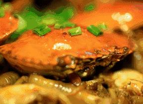 住在兖州贵和附近，就再也不想离开