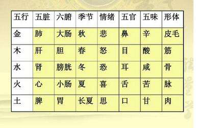 黄帝内经五畜为益,黄帝内经五志