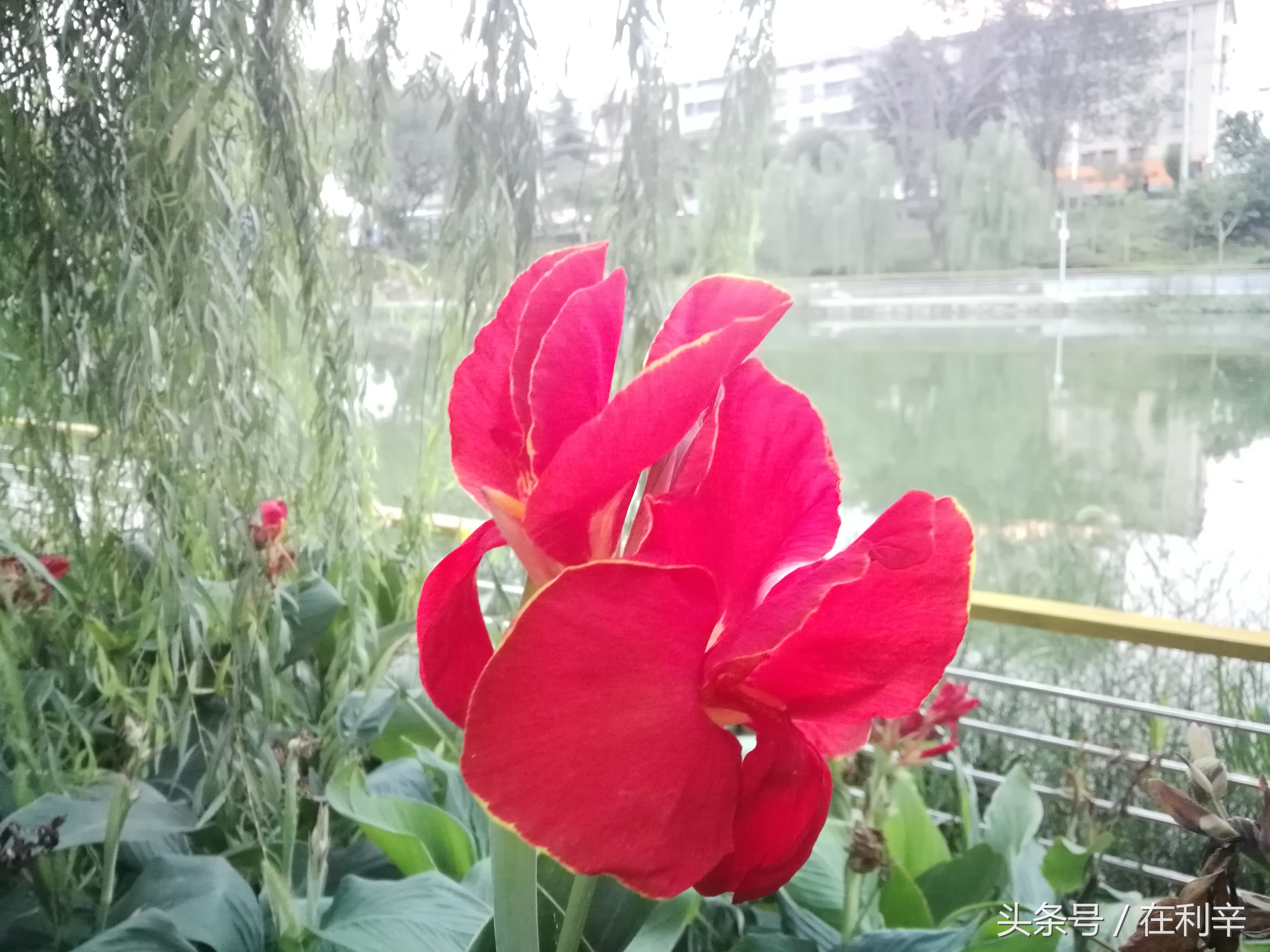 利辛日常生活,亳州利辛县日常生活