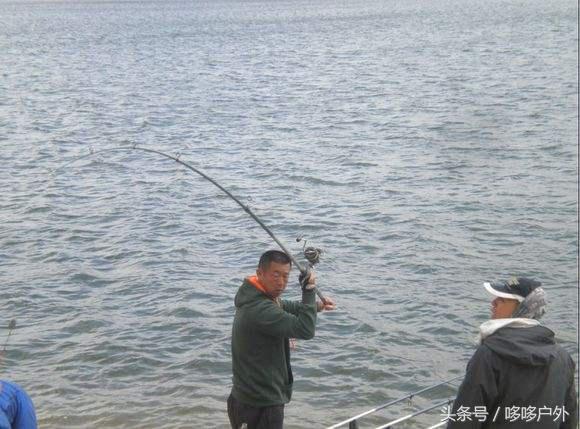 野钓鲫鱼技巧挂蚯蚓应该怎样调漂,新手怎么挂蚯蚓钓鱼