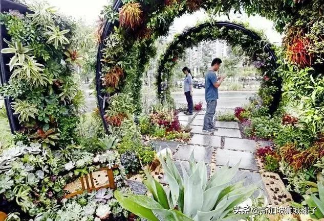 新加坡旅游攻略推荐花园,新加坡花园最新消息