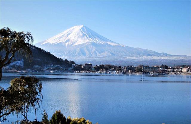 美女去日本旅游，买了一个马桶回来，看说明书愣住了