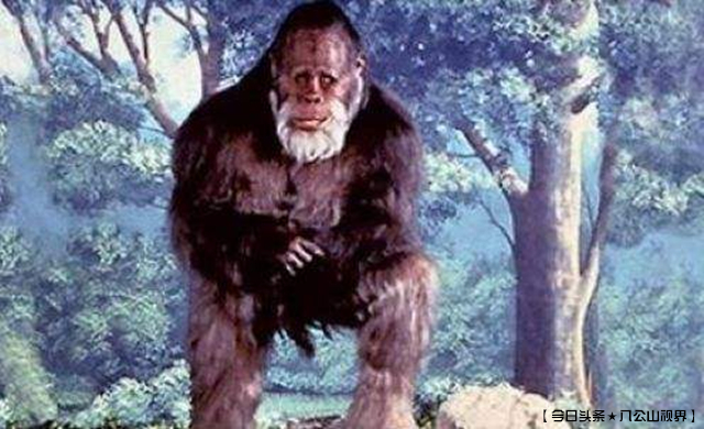 小说野人免费阅读,野人小说大全