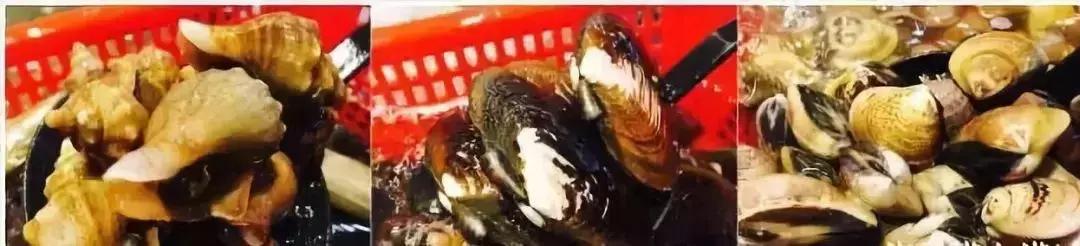 开渔哪种海鲜好吃,开渔了哪里吃海鲜