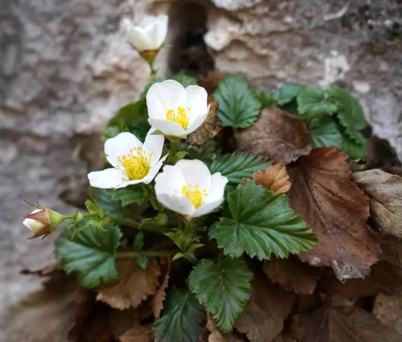 212例器官捐献让613人重获新生,新闻速报30秒最新