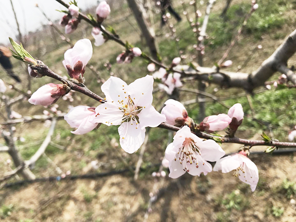 泗洪公务员工资在全国是什么水平,2022泗洪公务员