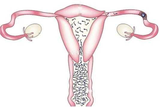 为啥前七后八是危险期,前七后八属于危险期吗