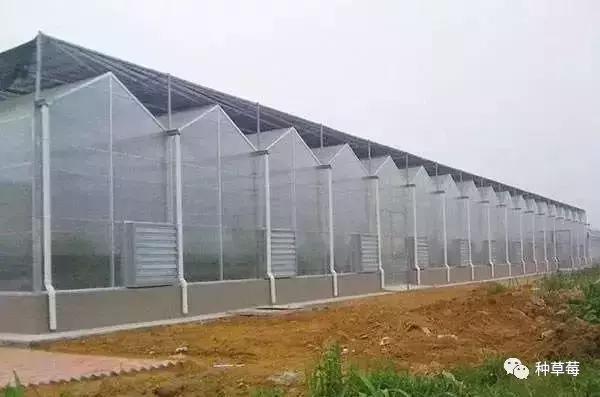 温室大棚120平方米建造价格一览表,温室大棚建造哪里最好