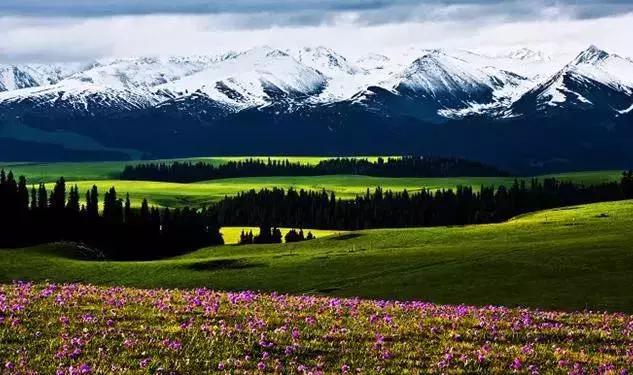 疆北自驾游线路图,全疆大环线自驾游最佳路线