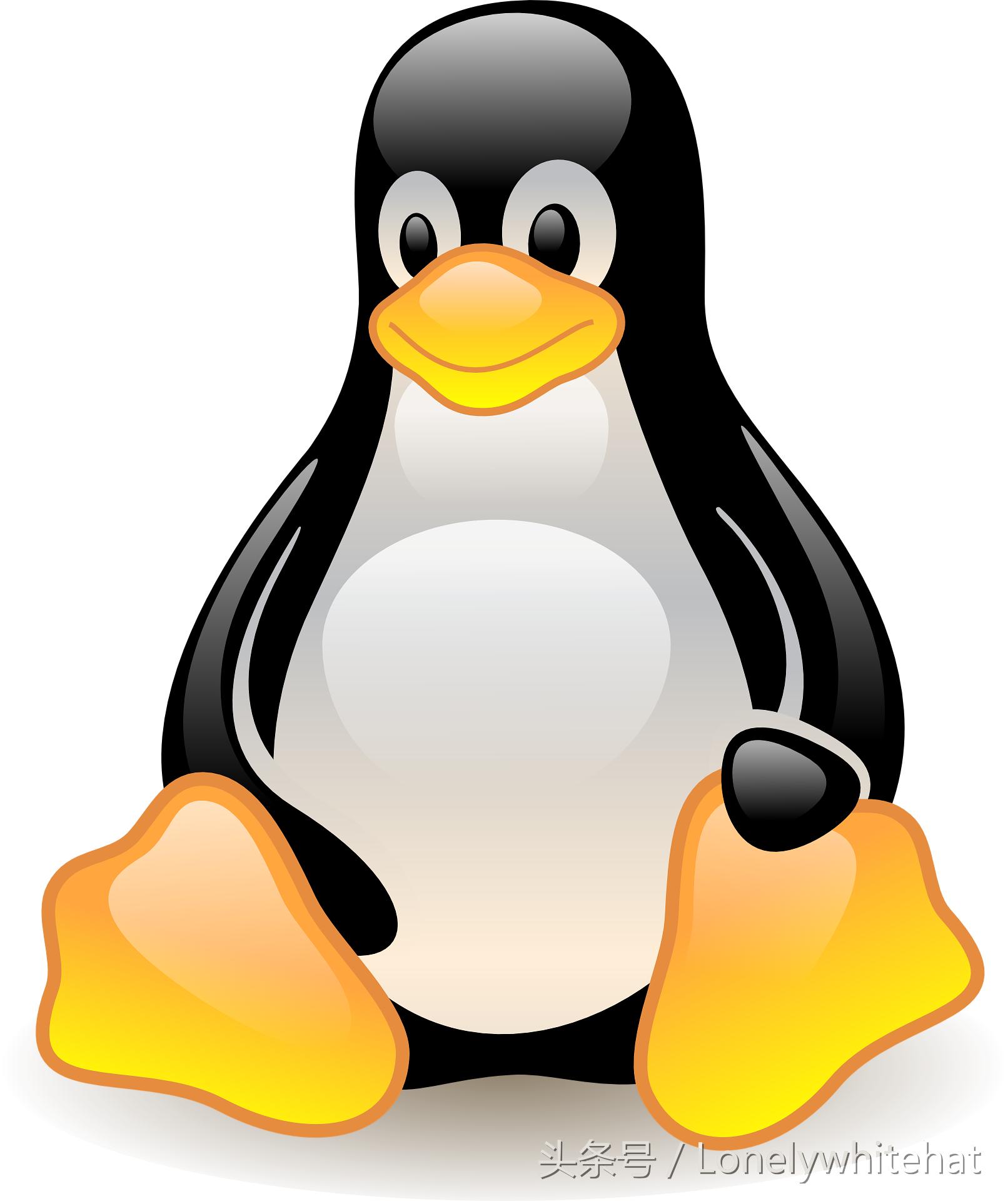 linux操作系统简介,linux简介与常用命令大全
