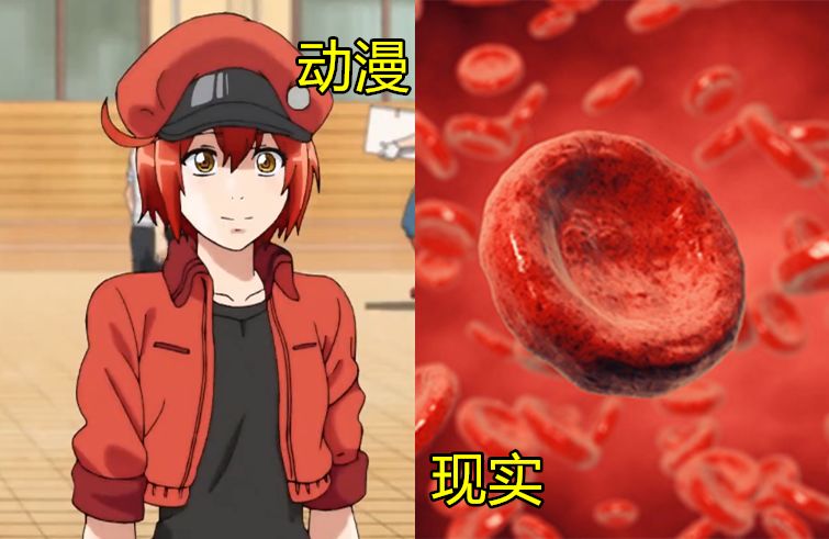 动漫很美好现实很残酷,动漫很幼稚但很美好