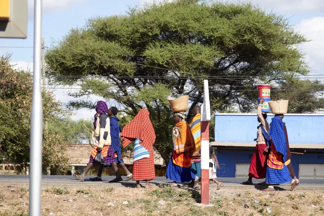 肯尼亚和坦桑尼亚哪个值得去,坦桑尼亚刚刚好之行