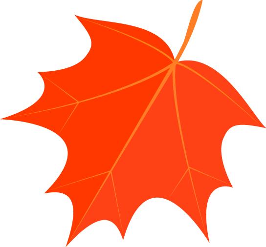 老照片里的故事合集,全家福老照片的故事