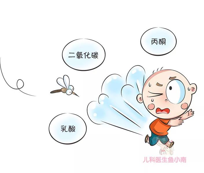 宝宝夏天外出，哪些防蚊办法最管用，排第一的方法你能猜到吗？