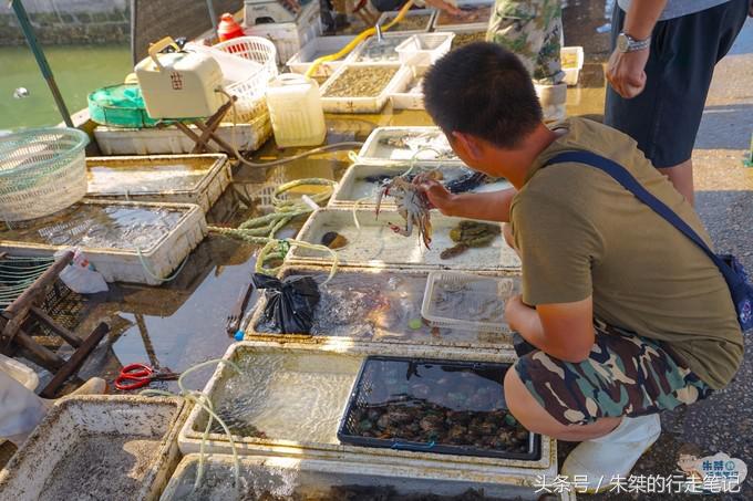 鍐榫欏彛鏃呮父鏀荤暐,鑳朵笢榫欏彛鏃呮父鏀荤暐